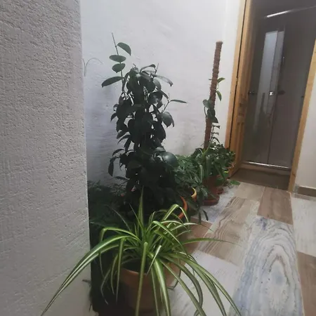 Cassa Beata En La Colina Séjour chez l'habitant